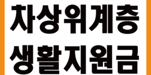 차상위계층생활지원금
