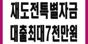 재도전특별자금