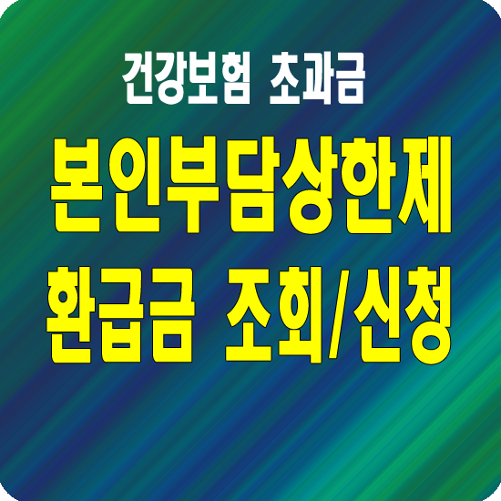 본인부담상한제