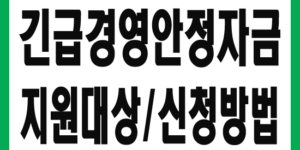소상공인 긴급 경영안전자금