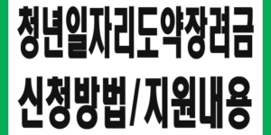 청년일자리도약장려금