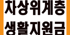 차상위계층생활지원금